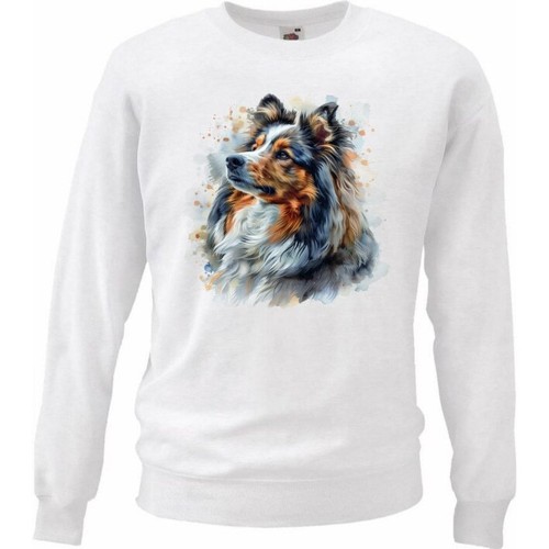 Sweatshirt sweater - sweatshirt,