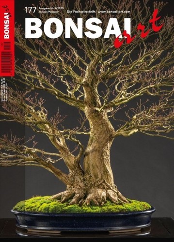 Neue bonsai art 177 - art,