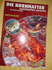 Die Kornnatter Art für Art NTV Kunz Pantherophis guttatus
