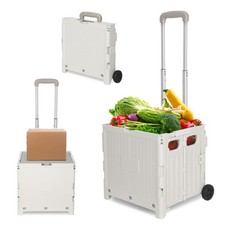 Einkaufstrolley 2in1 Transport