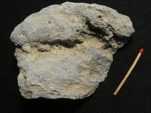 Rar nördlinger ries - nÖrdlinger, meteorit