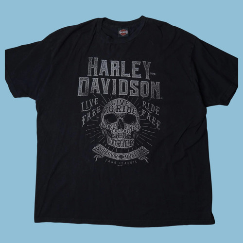 Vintage harley davidson skull - vintage,