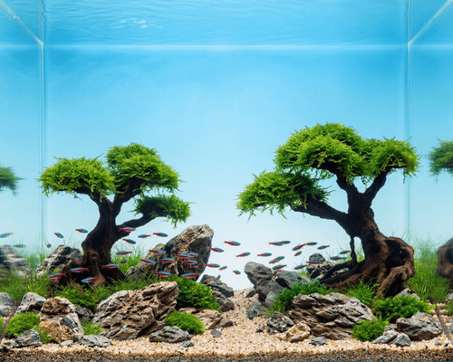Natureholic stone bonsai kasei - stone,