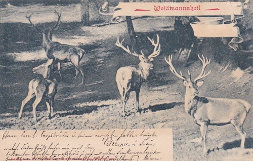 1900 deutsches reich - 1900, deutsches-reich