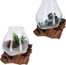 Große Dekoschale Glas auf