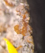 MM Melilith xx Fresnoit