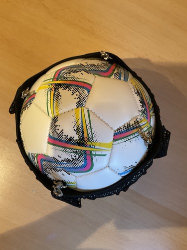 Schildkröt fussball ball - schildkröt, fussball,