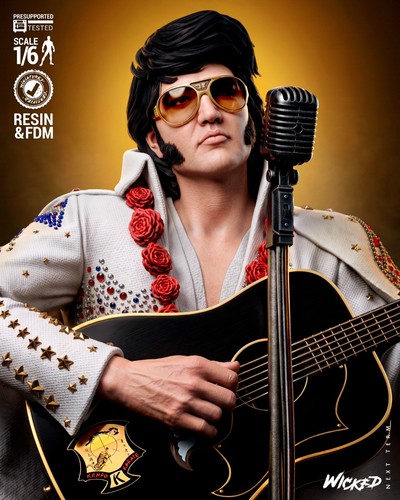 Elvis presley mit guitar - elvis,