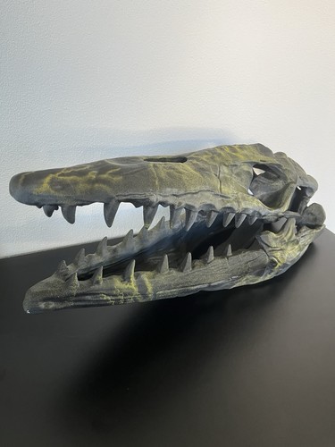 Dinosaurier schädel knochen - schädel,