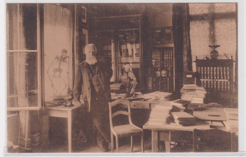 907032 prof ernst haeckel - 907032, ak