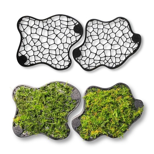 Mooswand 2er set natural - 2er-set,