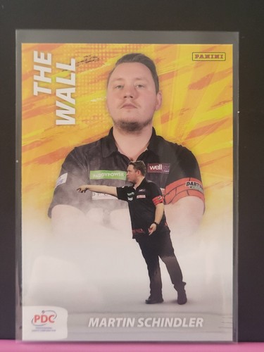 Panini pdc 2025 - 2025, world