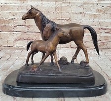Reiter Arabian Pferd Stute