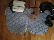 Tolles Konvolut Reitsport Pferd