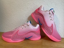 Nike Lebron (James) XXII 22 SN