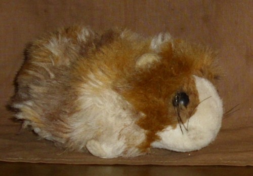 Steiff