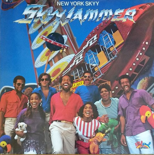 Skyy jammer used vinyl - skyy,