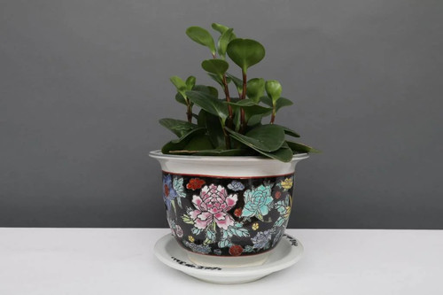 Porzellan blumentopf schwarz - porzellan,