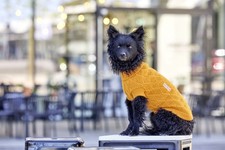 Wolters Strickpullover Diamond