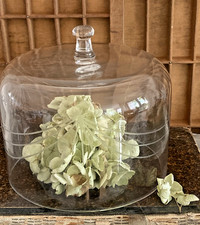 Alte Glasglocke Glashaube Glas Glocke m. Schliff  Antik um 1900, TOP