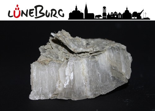 Gipskristall aus lüneburg - gipskristall, /