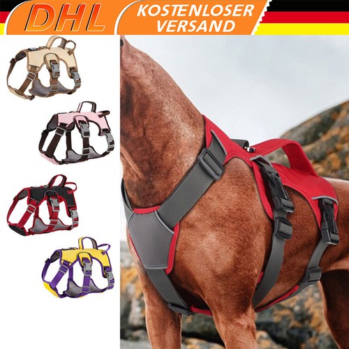 Anti zug hundegeschirr - zug,