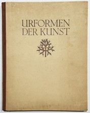 Fotografie / Nierendorf -