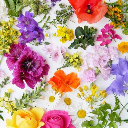 Servietten bloom canvas - 20,