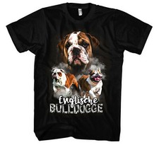Englische Bulldogge Männer