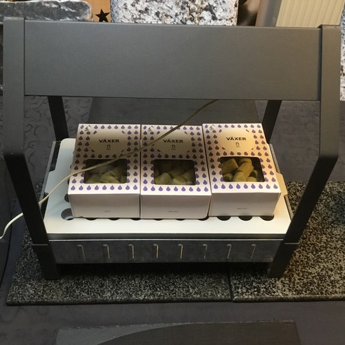 Zimmergewächshaus krydda ikea - krydda,