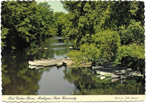 Postkarte red cedar river - postkarte,