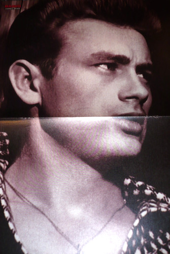 James dean poster - a3, rs