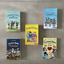 die wilden hühner 5 bücher