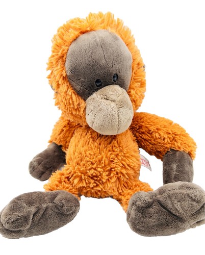 Nici affe orang utan - affe,