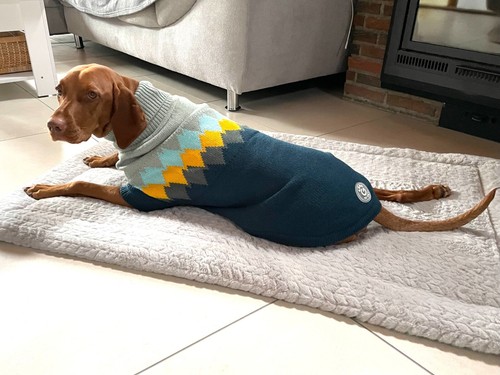Hundepullover pulli großer - hundepullover,