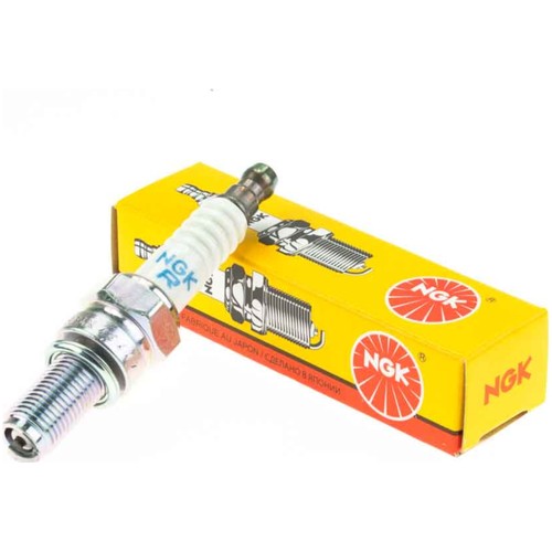 Zündkerze von ngk - zündkerze,