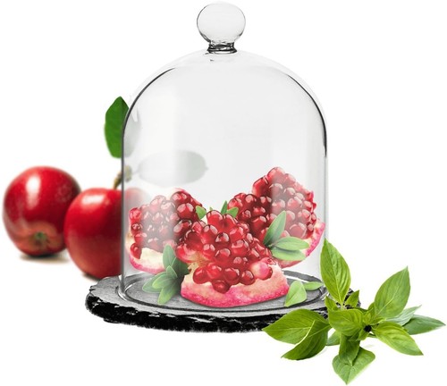 Sendez glasglocke mit - sendez,
