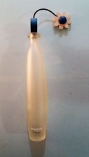 Flasche mit ausgießer - mit,
