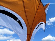 Einleiner Drachen Fox