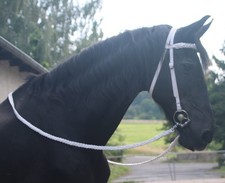 Weisse TRENSE Trensenzaum +