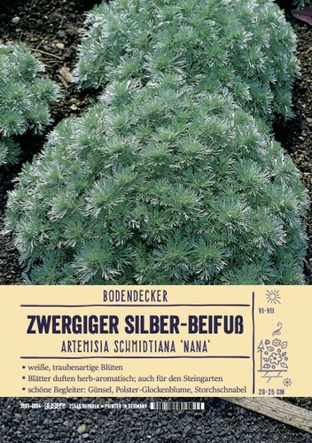 Artemisia schmidtiana