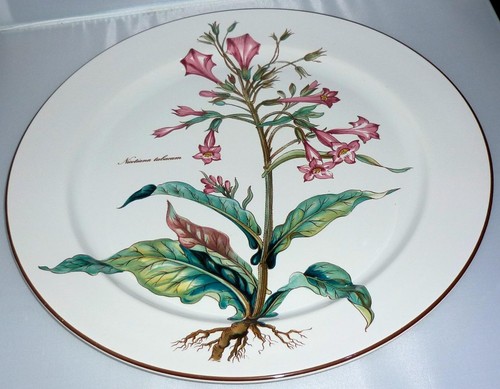 Villeroy boch botanica - boch,