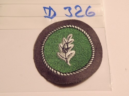 Bundeswehr abzeichen führer - abzeichen,