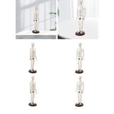 Akupunkturmodell mit