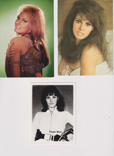 Raquel welch fotografien auf - 3,