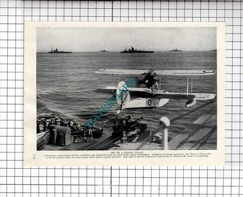 Cruiser ship southampton - ship,