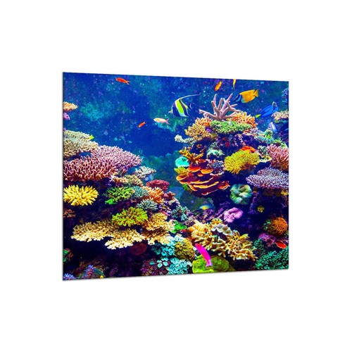 Küchenrückwand glas 65x60 - glas,