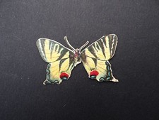 Schmetterling Schmetterling