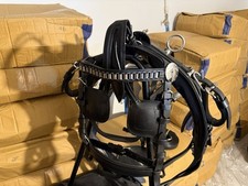 Shetland kleines pony - pony, geschirr