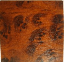 GARBÁTY Holzbild TARSO